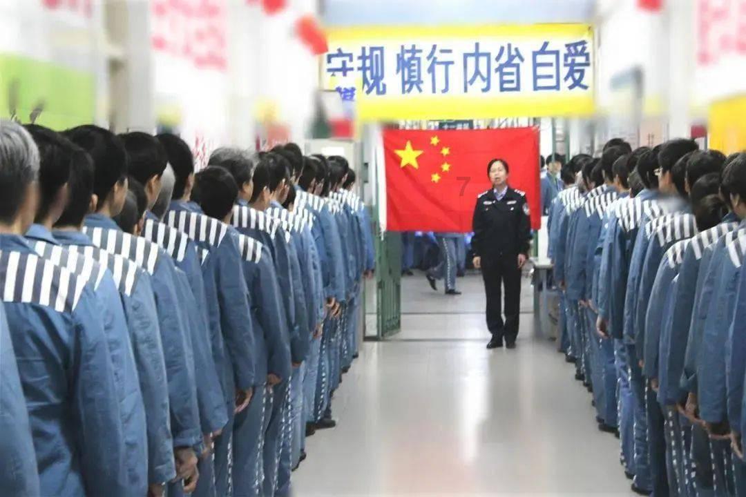蓝狐视频